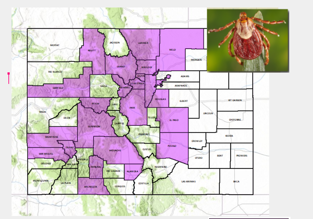 Rocky Mountain Wood Tick Distribution Map in Colorado