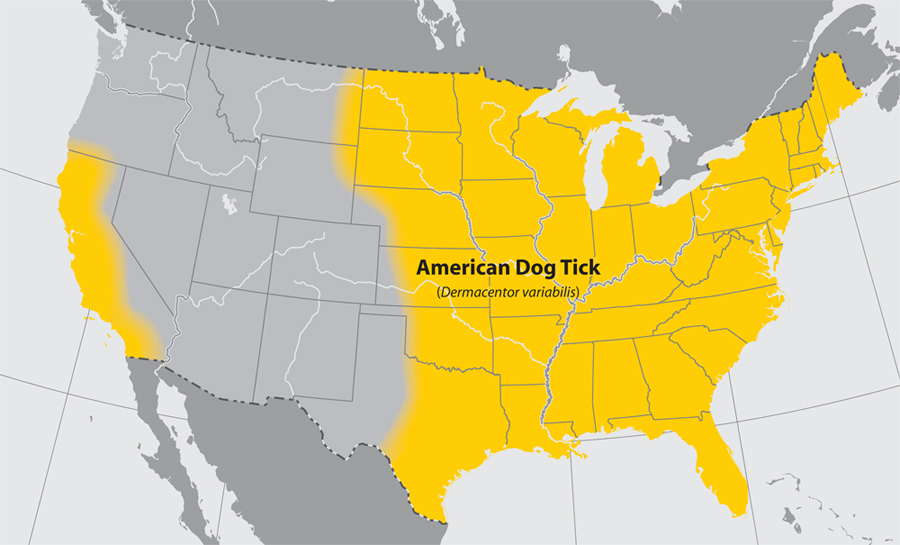 US Distribution Map