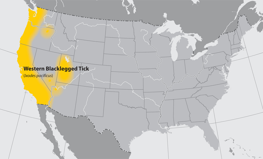 Pacific Blacklegged tick distribution Map in US
