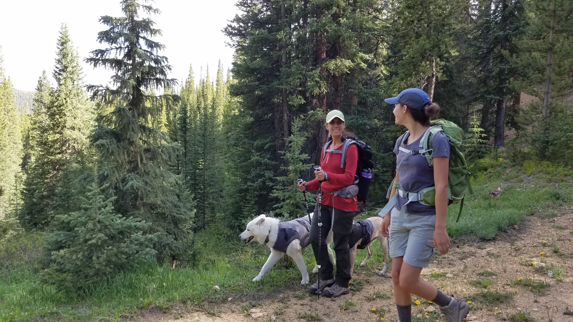 Colorado Tick-Borne Disease Awareness Association (COTBDAA) - Education ...